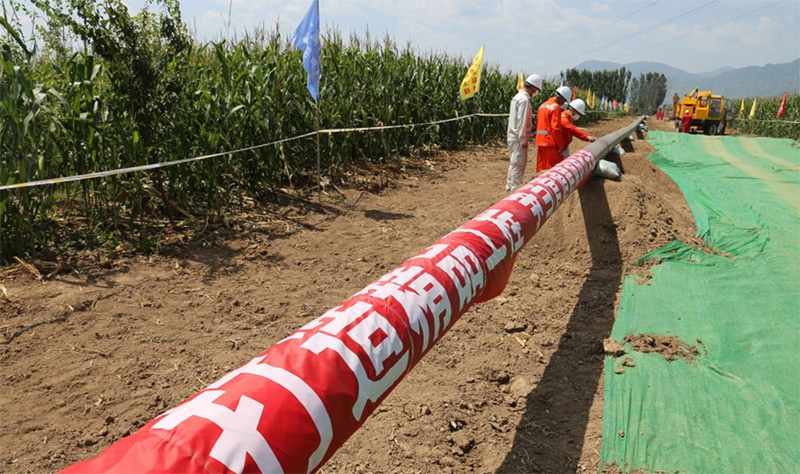 尊龙凯时·(中国)人生就是搏!